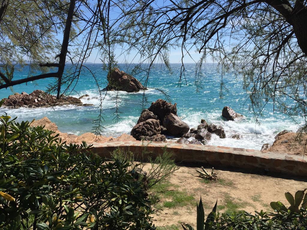 Dionysos Vue Mer Cannes Quarto foto